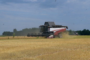 Similar image 22210810