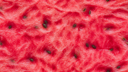 Similar image 22219405