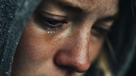 Similar image 22219456