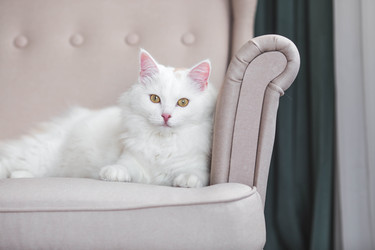 Similar image 22210811