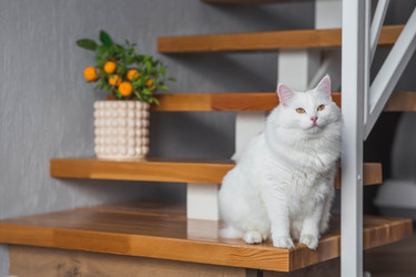 Similar image 22210812