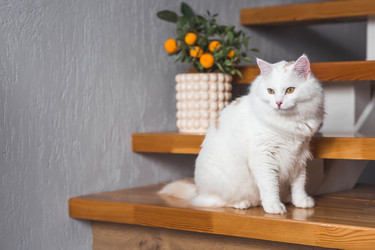 Similar image 22210813