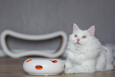 Similar image 22210814