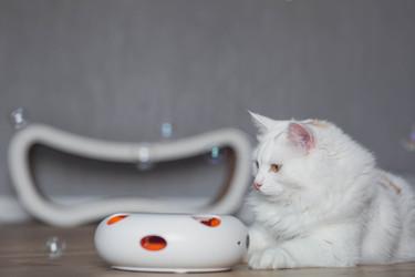 Similar image 22210815