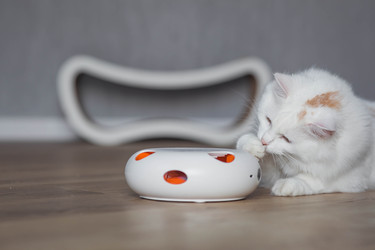 Similar image 22210816