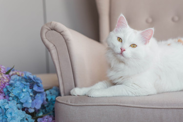 Similar image 22256614