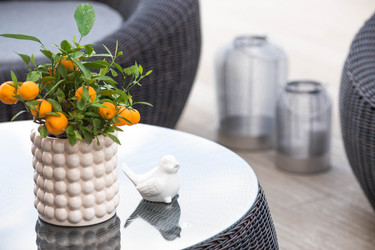 Similar image 22256616