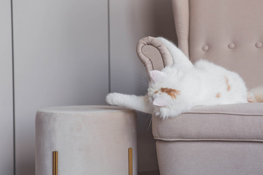 Similar image 22256617