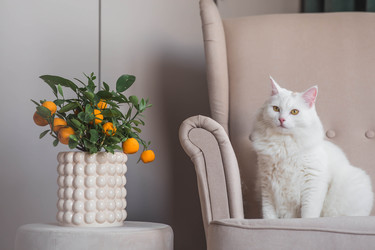 Similar image 22210827