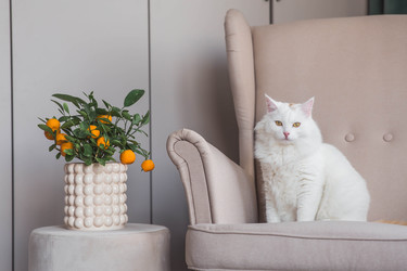 Similar image 22210828