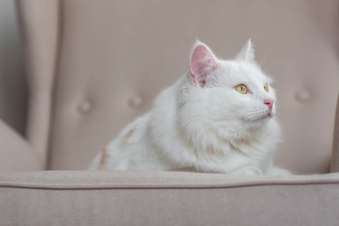 Similar image 22256618