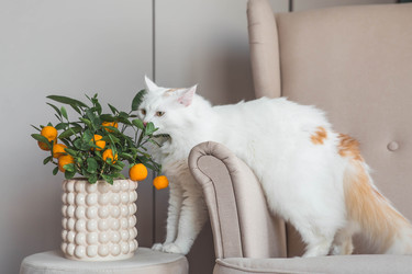 Similar image 22210829