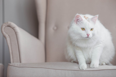 Similar image 22256619