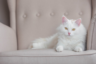 Similar image 22256620