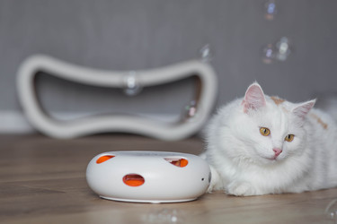 Similar image 22210832