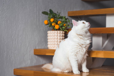 Similar image 22210833