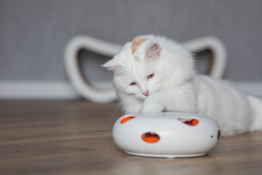 Similar image 22210836