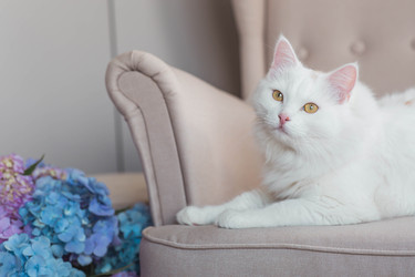 Similar image 22256622