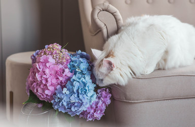 Similar image 22256623