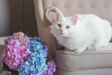 Similar image 22256624