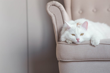 Similar image 22256625