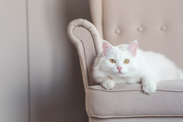 Similar image 22256626