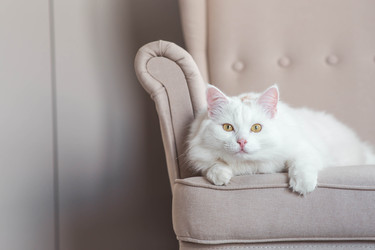 Similar image 22256628