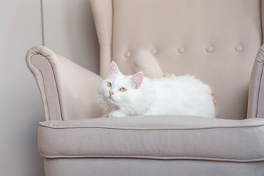 Similar image 22256629