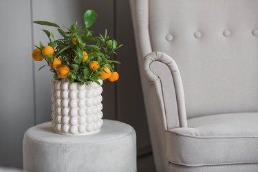 Similar image 22256630