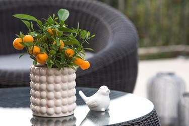 Similar image 22256632