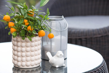 Similar image 22256633