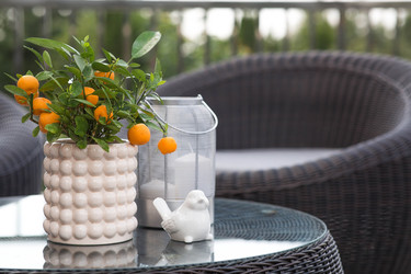 Similar image 22256634