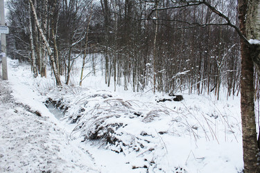 Similar image 22219503