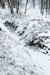 Similar image 22219505