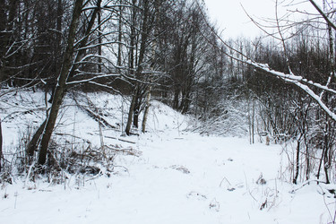 Similar image 22219507