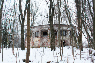 Similar image 22219509