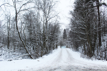 Similar image 22219510