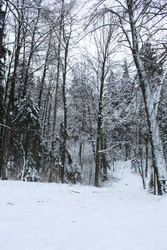 Similar image 22219511