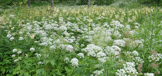 Similar image 22210838