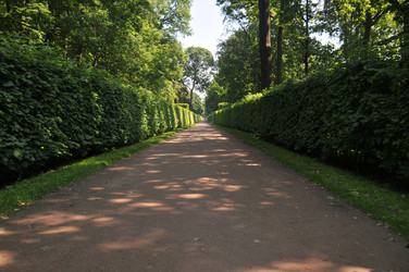 Similar image 22210845