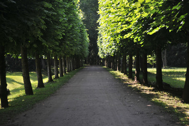 Similar image 22210847