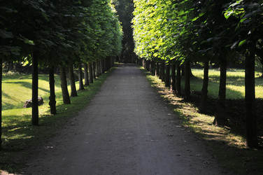 Similar image 22210848