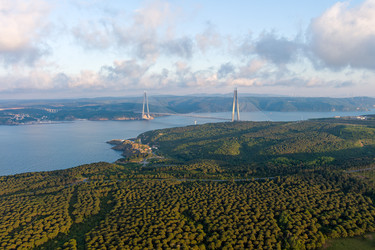 Similar image 22227734