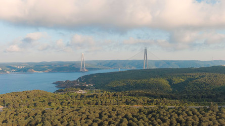 Similar image 22227750