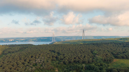 Similar image 22227769