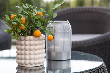 Similar image 22256635