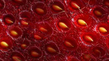 Similar image 22221470