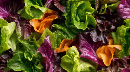 Similar image 22221493