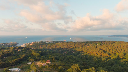 Similar image 22256906