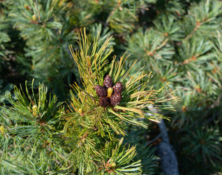 Similar image 22210856